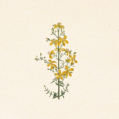 passacaglia (but it's a waltz)