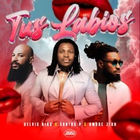Tus Labios (feat. Ombre Zion) - Single - Delvis King