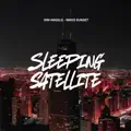 Sleeping Satellite