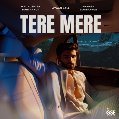 Tere Mere - Single