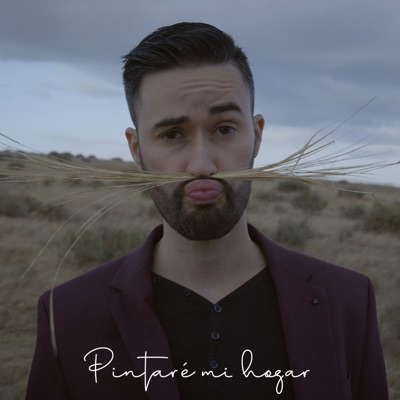 Pintaré mi hogar - Single