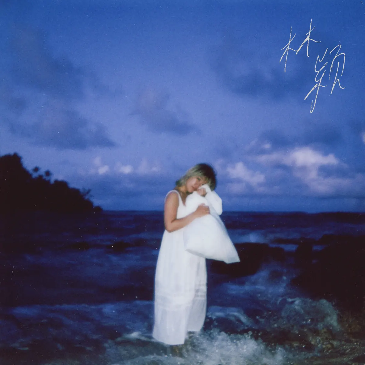 林穎 - Birthdays on Video - Single (2024) [iTunes Plus AAC M4A]-新房子
