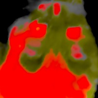 disaster - Single - Animation & cardnul