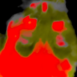 disaster Animation & cardnul