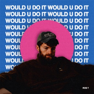 Would U Do It - Single