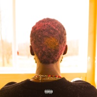 I Remember (feat. Chandler Elyse) - Single - DAP The Contract