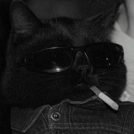 I Like Your Face PYRXCRIED