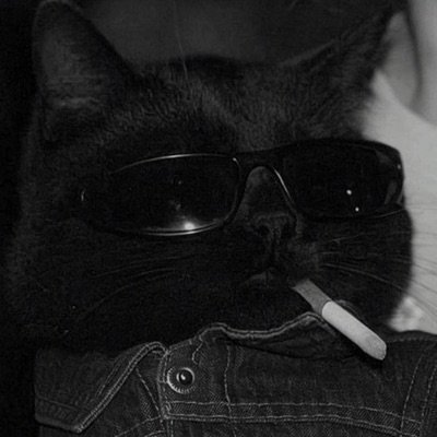 I Like Your Face - Single