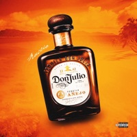DON JULIO - Single - NUCEIO