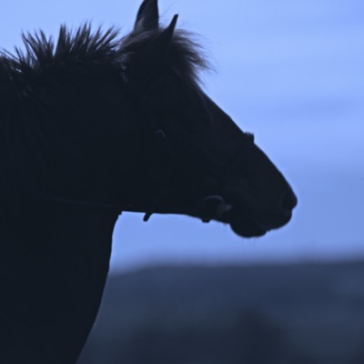 Le Cavalier sans tête - Single