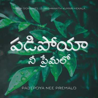 Padipoya Nee Premalo - Single