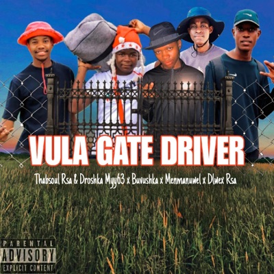 Vula Gate Driver - Single