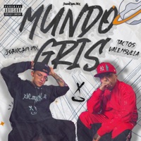 Mundo Gris (feat. Tactos Valensuela) - Single - JoanCam Mx
