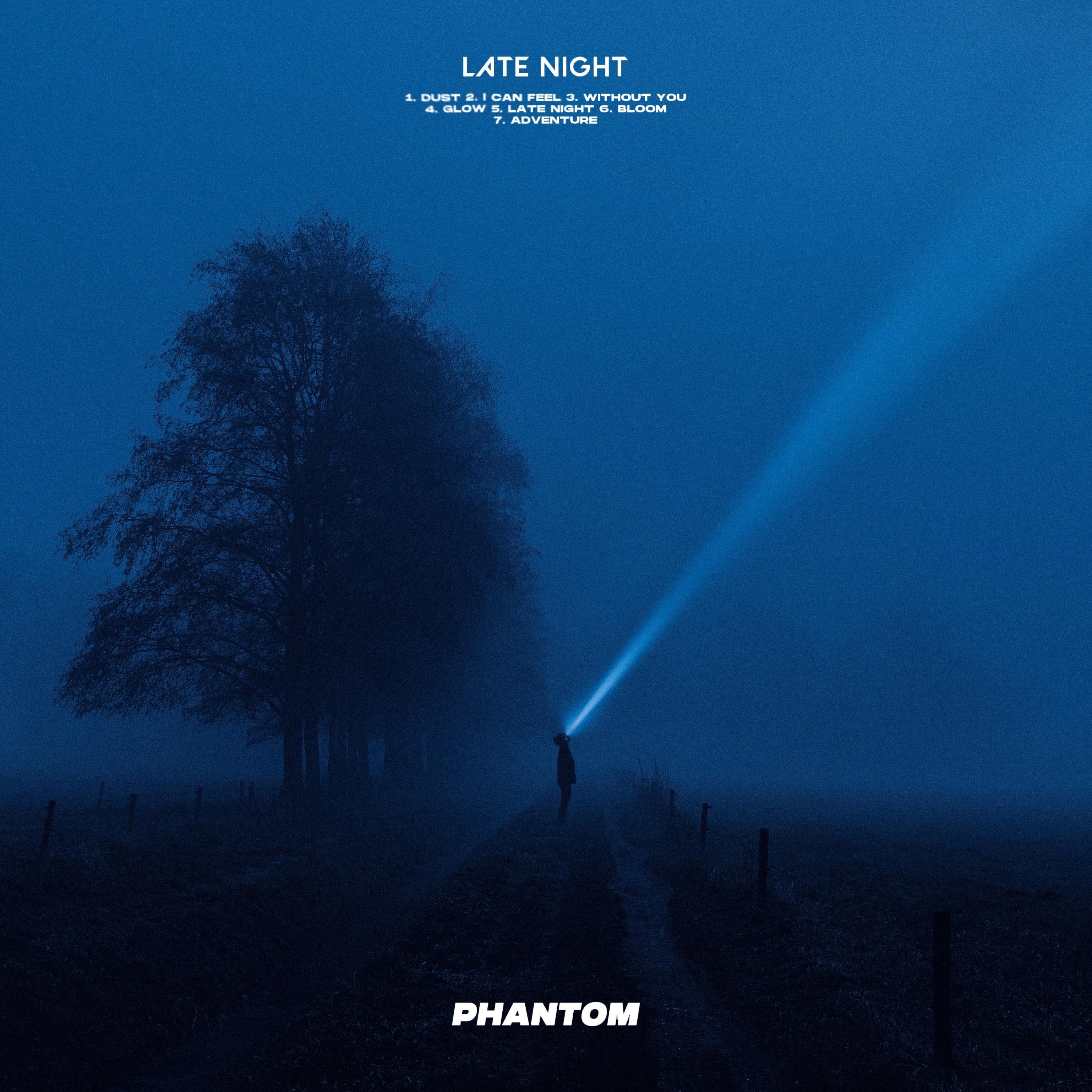 Phantom Logic - Salton Dust I