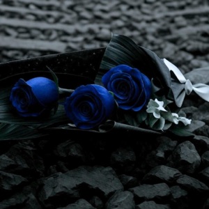Rosas Azuis