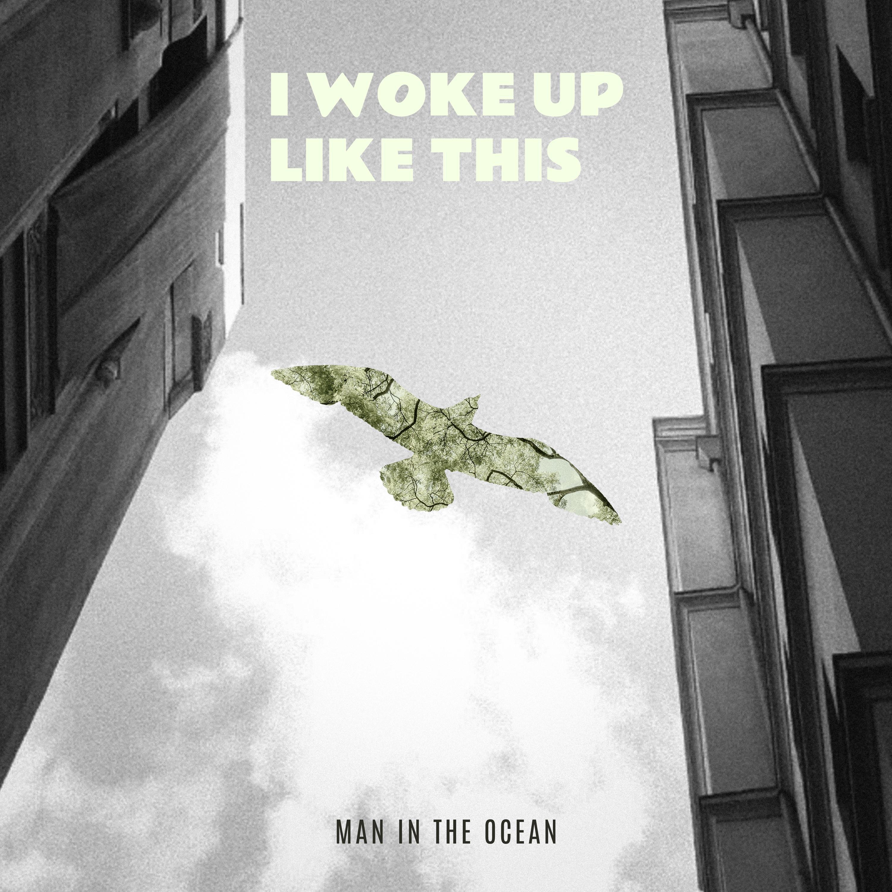 I Woke Up Like This - Single