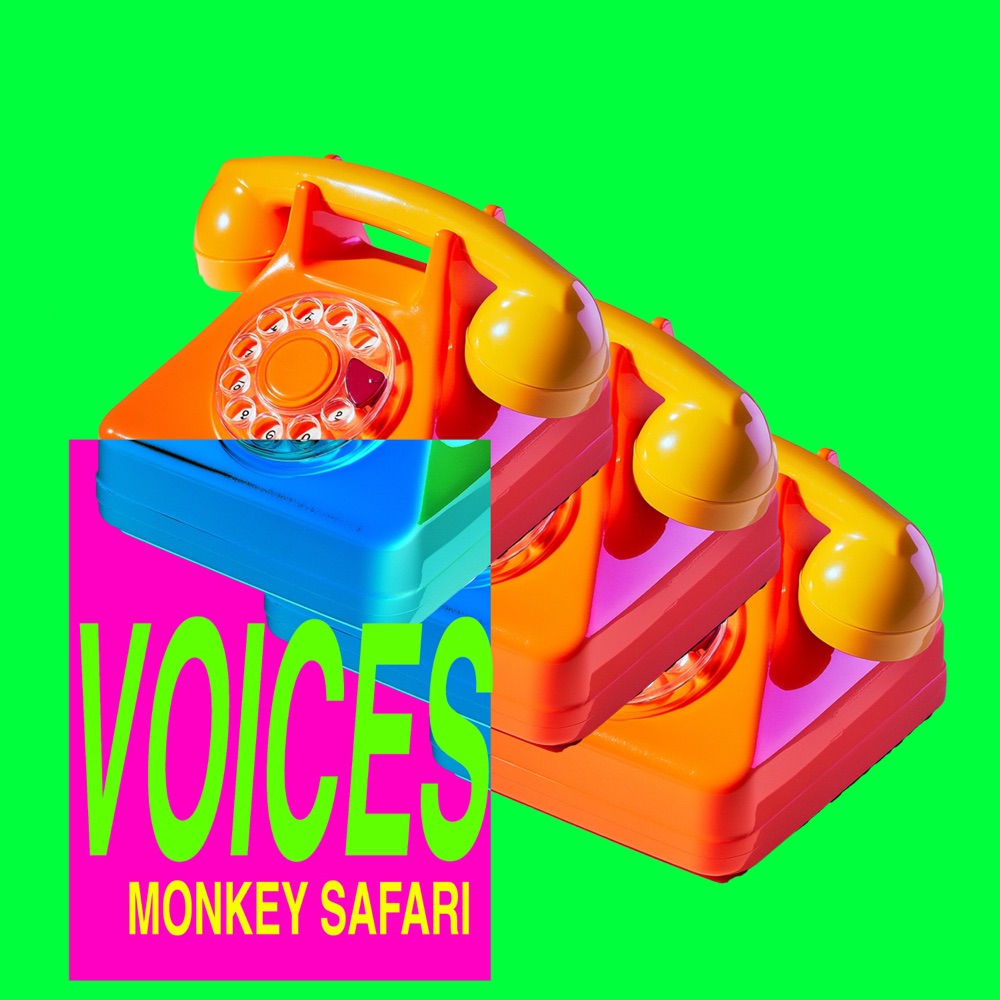 Обложка альбома «Voices - Single» — Monkey Safari