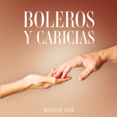 Boleros y Caricias song art
