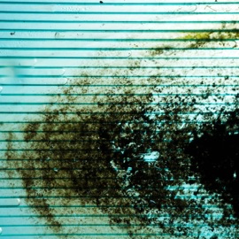 Miss My Everything Ashiroo