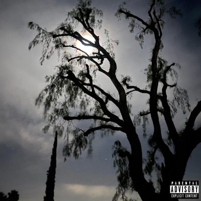 JUST ME AND THE MOON - Single