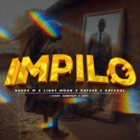 Impilo (feat. Light Moon, KayGee, KaySoul, SunnyBoy & JAY) - Single - Bhuda M