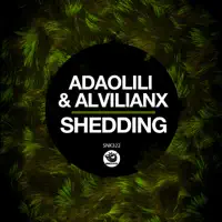 Shedding — Adaolili & Alvilianx
