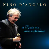 VOGLIO PARLA' SULO D'AMMORE