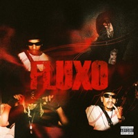 Fluxo (feat. DESSIIIK) - Single - Oushanz & Viper