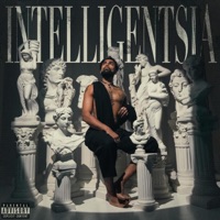 Intelligentsia - Vy