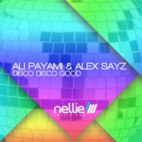 Disco Disco Good - Single - Ali Payami & Alex Sayz