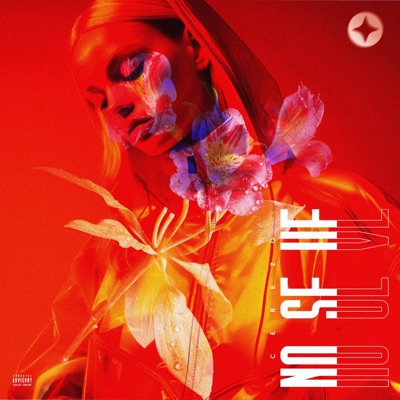 NO SE VE - Single