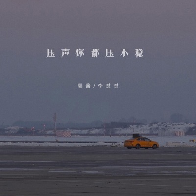 压声你都压不稳 - Single