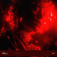 Our Night - Single - Korsi