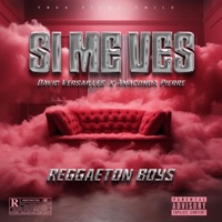 Si Me Ves - Single - David Versailles, Anaconda Pierre & Reggaeton Boys