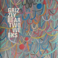 Grizzly Bear