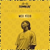 Meu Vício - Single - Neggringo & Ind'os Beat