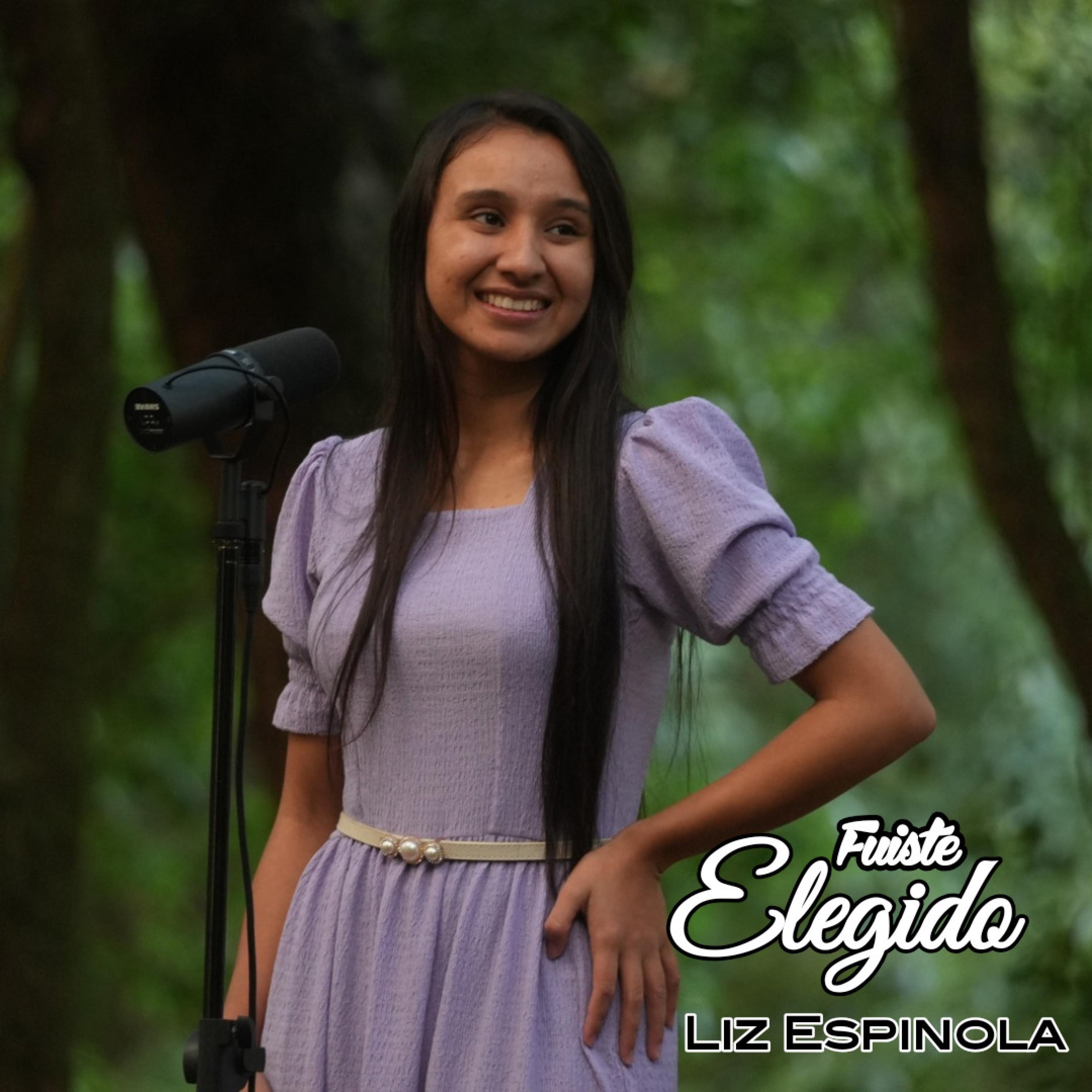 Fuiste Elegido - Single