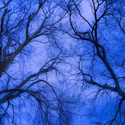 wait so long - Single