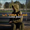 La Vida Loca - Single