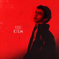 1000 стен - Single - low.sleep