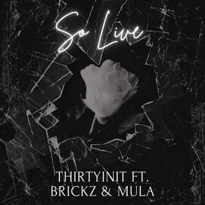 So Live (feat. Brickz & Mula) - Single