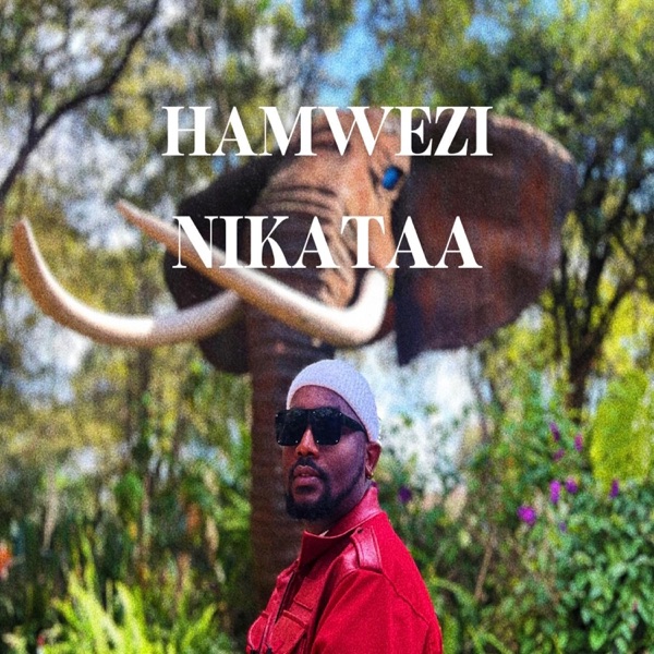 Hamwezi Nikataa
