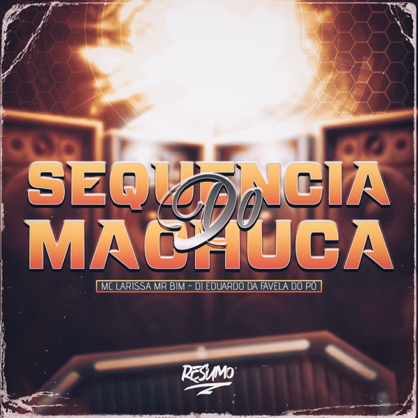 Sequência do Machuca