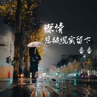 深情总被现实留下 - Single - 番番