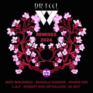Dr Feel M2KR Remixes 2024 - EP