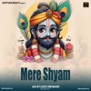 मेरे श्याम चले आओ - Single