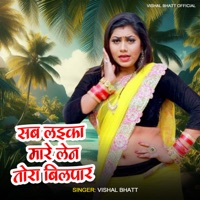Sab Laika Mare Lan Sa Tora BillPar - Single - Vishal Bhatt