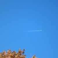 無話不談 - Single - LIU KOI & Foi