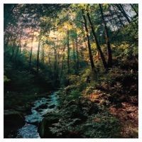 Nativo (feat. Vibranko, Lola Ibarra, Blas11'Tm & Osiris H) - Single - Andre Muuk'