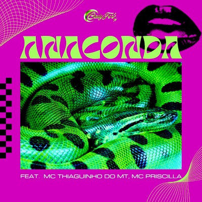 Anaconda (feat. MC THIAGUINHO DO MT & MC Priscilla) - Single